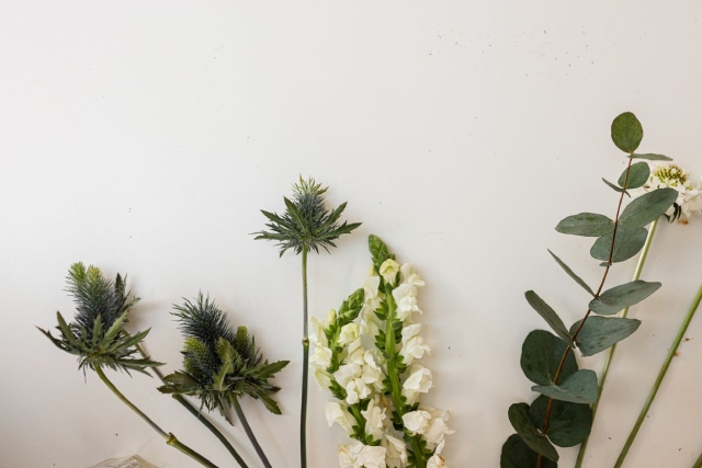 Foliage and Filler: Why They’re Key to Making Bouquets Better