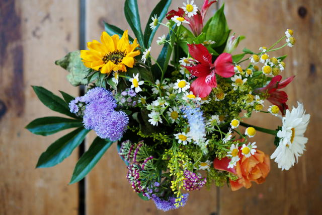 Floral Design Basics Every Custom Bouquet Lover Should Know